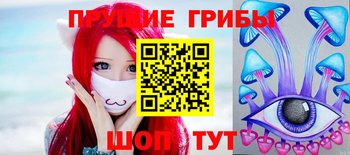 Советск  Галлюциногенные грибы GOLDEN TEACHER  Вход с VPN 